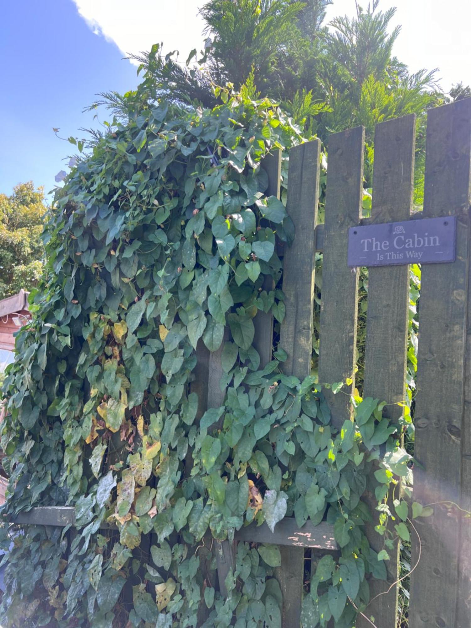 The Cabin Bradford-On-Avon Exterior photo